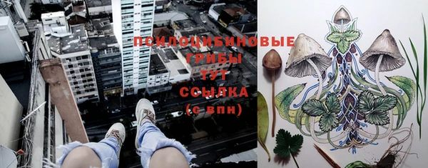 Альфа ПВП Баксан