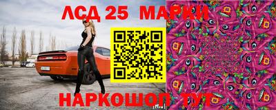 СК Моздок