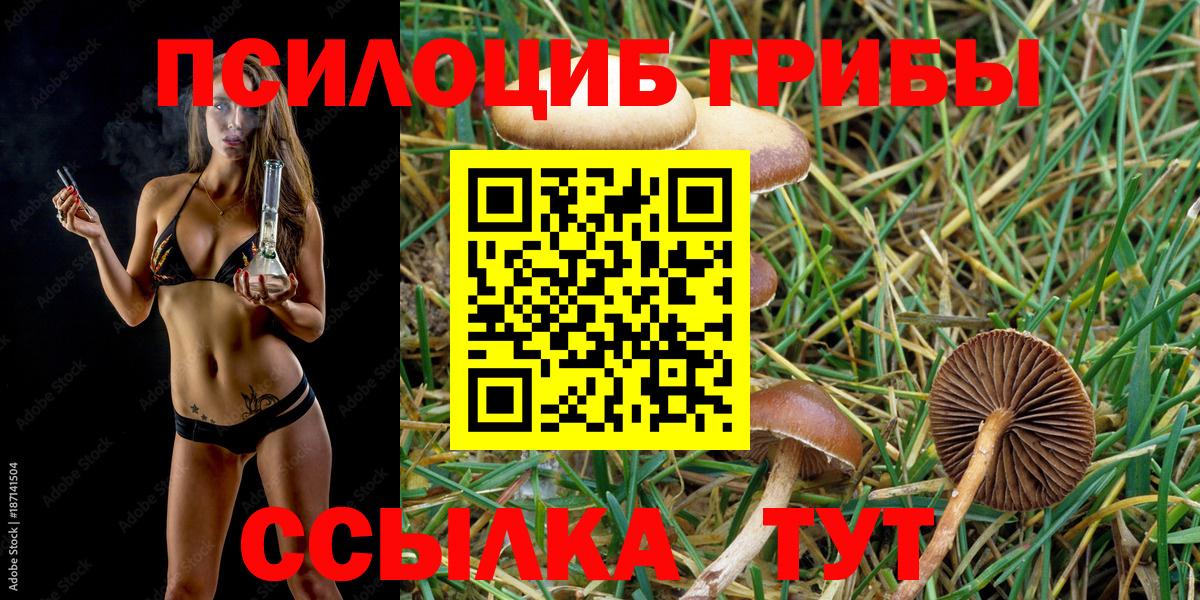 Галлюциногенные грибы GOLDEN TEACHER Барабинск