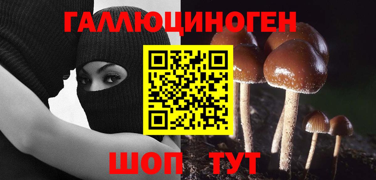 Барабинск  Псилоцибиновые грибы мухоморы  Вход с VPN  Галлюциногенные грибы Magic Shrooms 